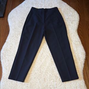 Zara Navy Pants